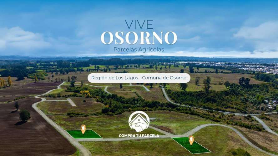 OSORNO OFERTA PARCELAS ORILLA DE RUTA PÚBLICA (129855)