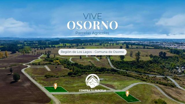 OSORNO OFERTA PARCELAS ORILLA DE RUTA PÚBLICA (129855)