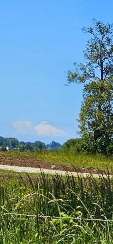 OSORNO OFERTA PARCELAS ORILLA DE RUTA PÚBLICA (129855)