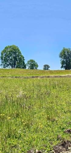 OSORNO OFERTA PARCELAS ORILLA DE RUTA PÚBLICA (129855)