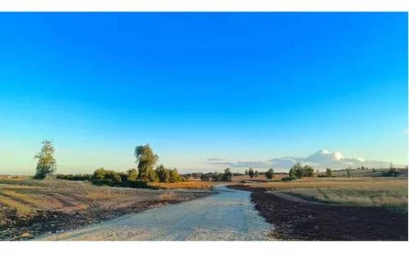 OSORNO OFERTA PARCELAS ORILLA DE RUTA PÚBLICA (129855)