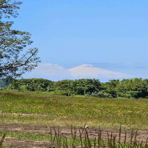 OSORNO OFERTA PARCELAS ORILLA DE RUTA PÚBLICA (129874)