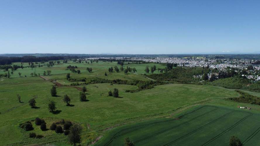 OSORNO OFERTA PARCELAS ORILLA DE RUTA PÚBLICA (129874)