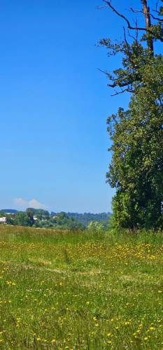 OSORNO OFERTA PARCELAS ORILLA DE RUTA PÚBLICA (129874)