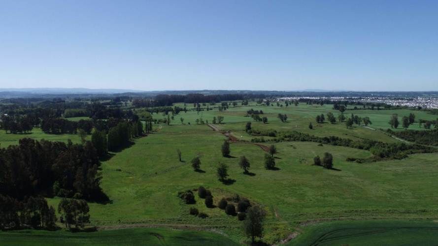 OSORNO OFERTA PARCELAS ORILLA DE RUTA PÚBLICA (129874)