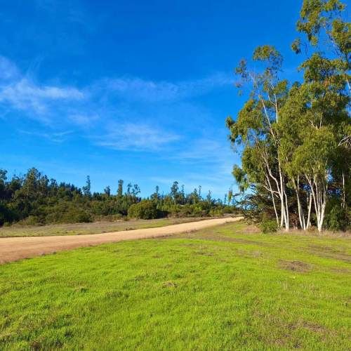 PARCELAS EN SANTO DOMINGO A 20 MINUTOS PLAYA (129866)