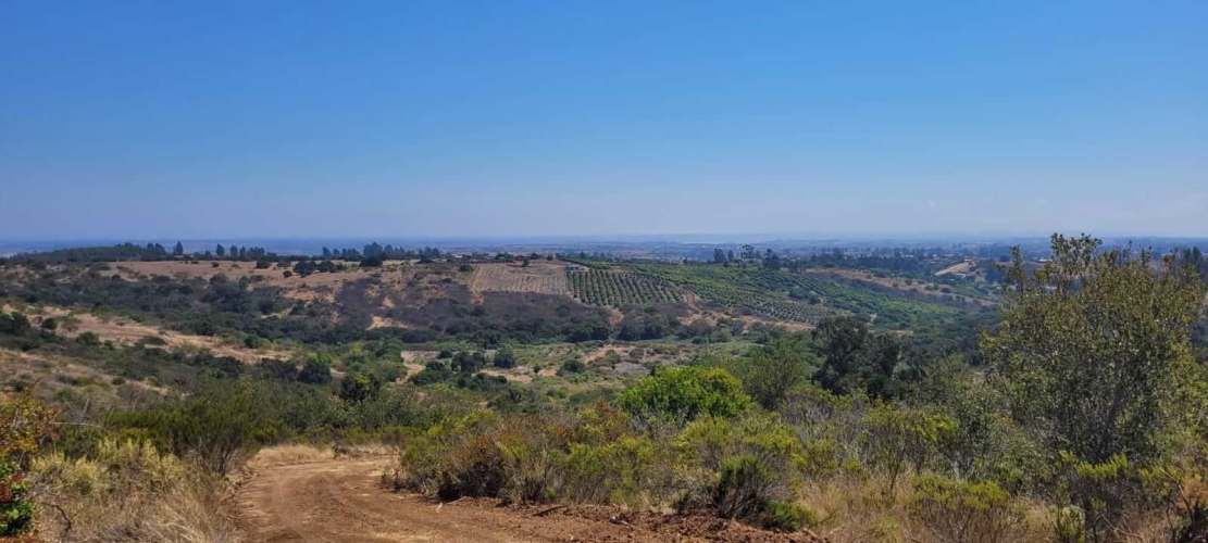 PARCELAS EN SANTO DOMINGO A 20 MINUTOS PLAYA (129866)