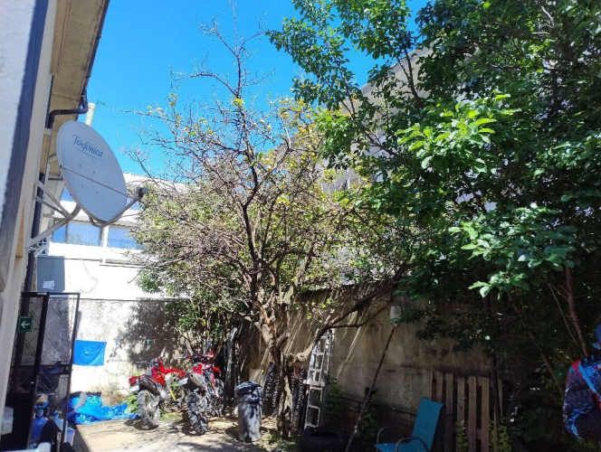 Excelente centro de Concepción.