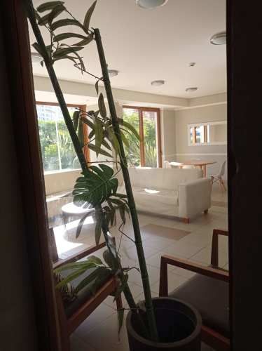 Vendo depto amoblado en Peñuelas, Coquimbo. Oportunidad de inversión