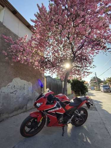 Honda CBR300R