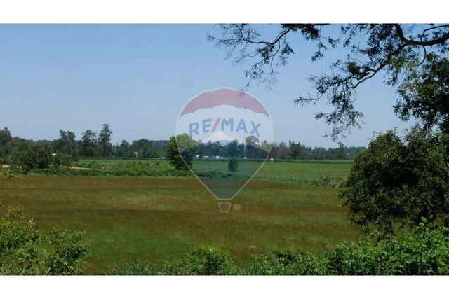 Proyecto las mercedes río bueno