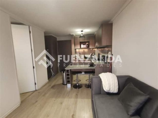 DEPARTAMENTO José Miguel Carrera/ Trinidad Ramírez