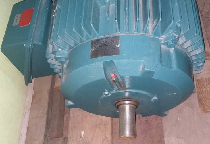 Motor eléctrico Trifásico