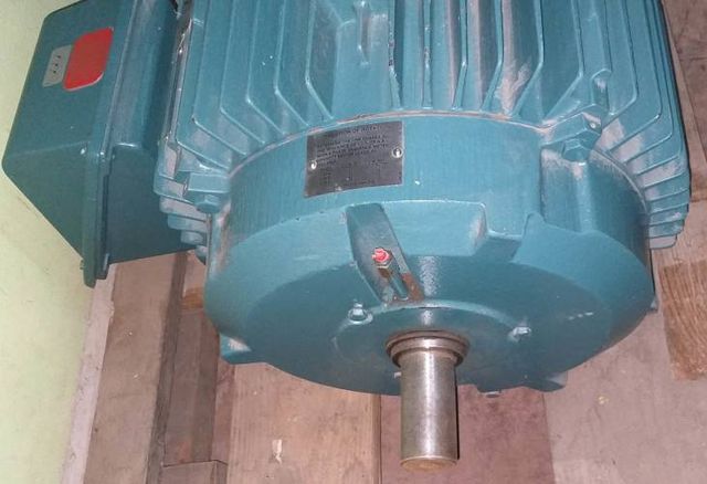 Motor eléctrico Trifásico