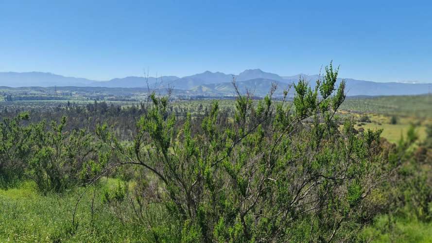 VENTA PARCELA 5850MTS Limache