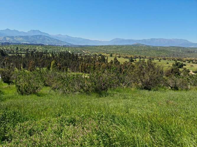 VENTA PARCELA 5850MTS Limache