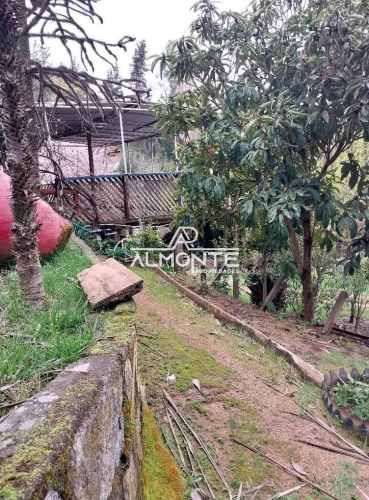 ARRIENDO PARCELA 10000MTS Florida