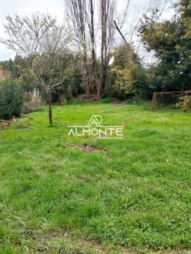 ARRIENDO PARCELA 10000MTS Florida