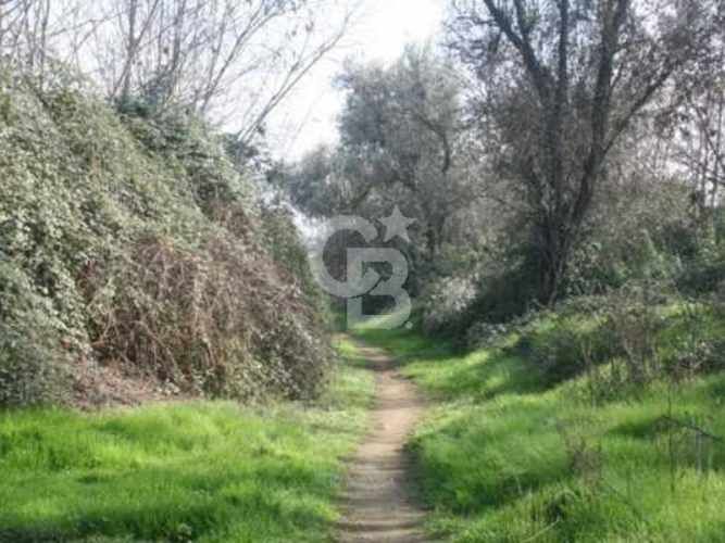 Oportunidad en Paine - 3 Ha con casa patronal por restaurar