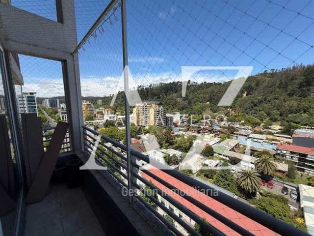 DEPARTAMENTO Avenida Chacabuco, Concepción