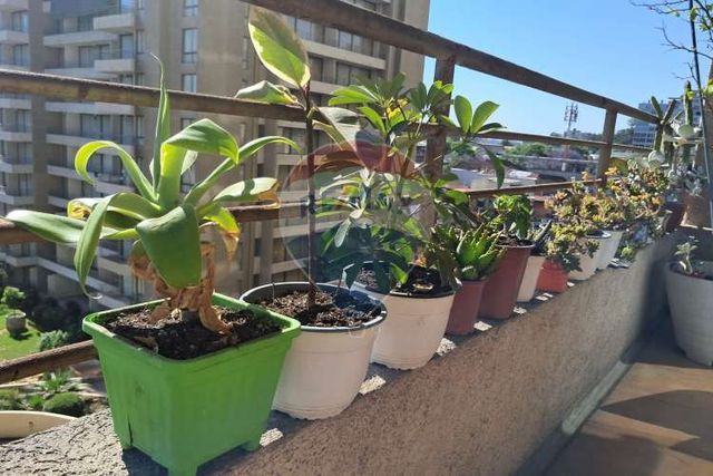 Charming 1-br apt in vibrant santiago!