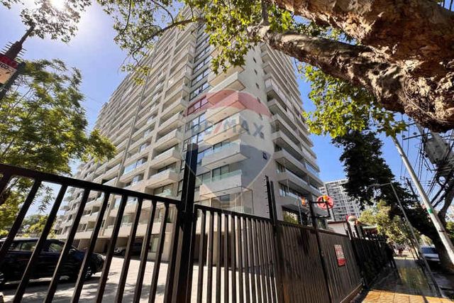 Semi nuevo mariposa gran terraza