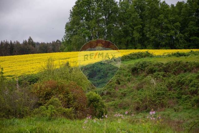 Proyecto las mercedes la unión