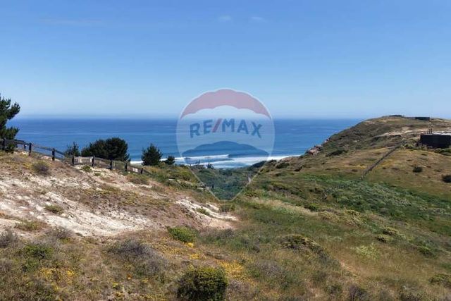 Frente al mar en la vega de pupuya
