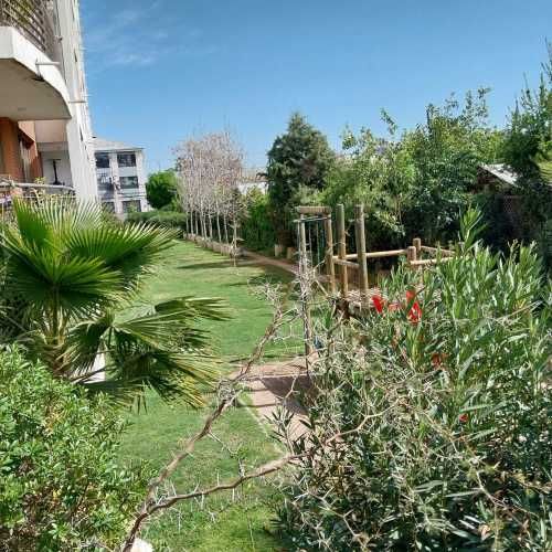 IMPECABLE DP  2 DOR MACUL R ARAYA