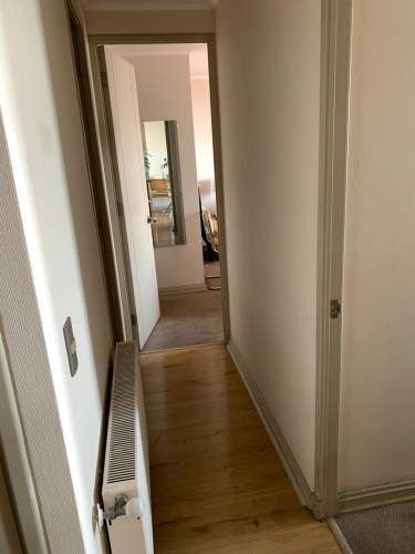 IMPECABLE DP  2 DOR MACUL R ARAYA