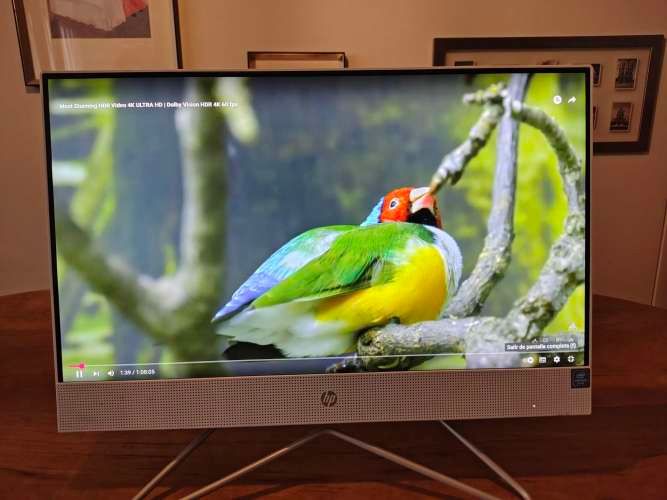 Hp All In One 22 Fullhd Intel Pentium J5040 8gb Ssd Win 11 (Usado)