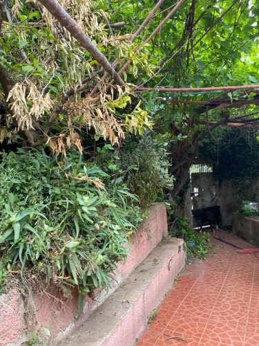 Casa Fernando Lazo, Valparaíso