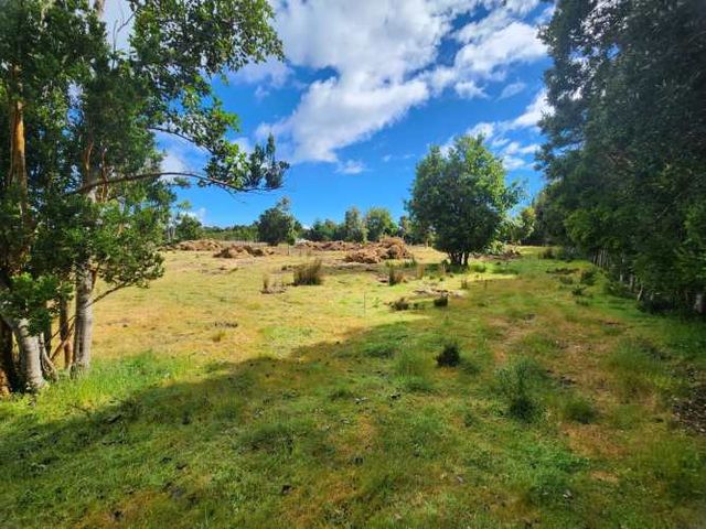 Parcela Queilen (Lelbun)