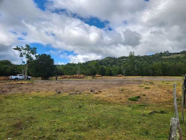 Parcela Queilen (Lelbun)