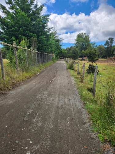 Parcela Queilen (Lelbun)