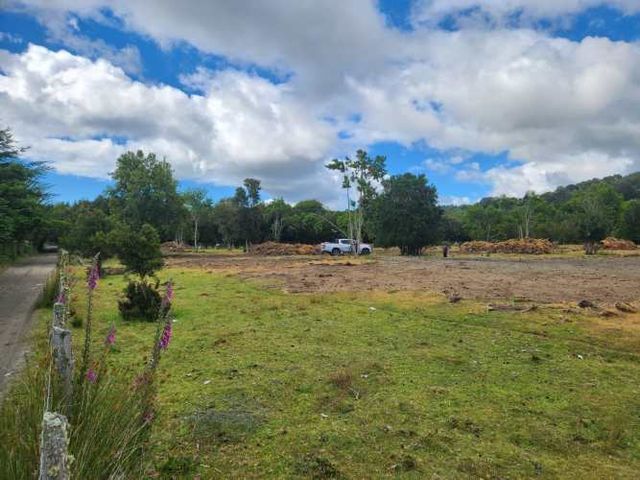 Parcela Queilen (Lelbun)