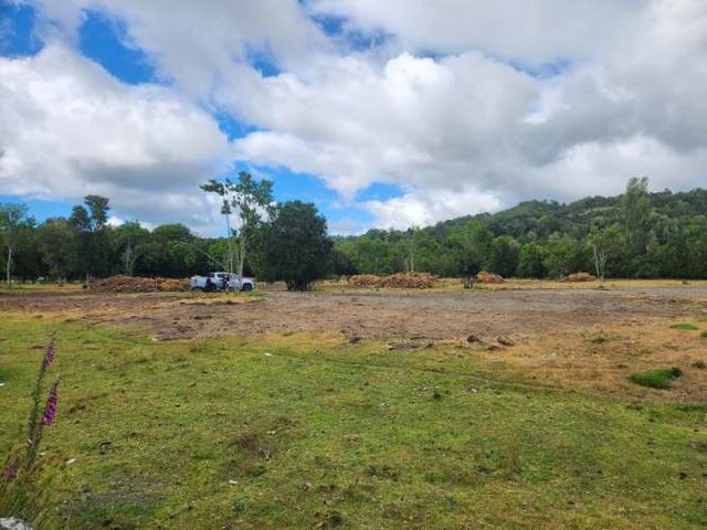 Parcela Queilen (Lelbun)