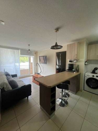 Depto a pasos UdeC (129456)