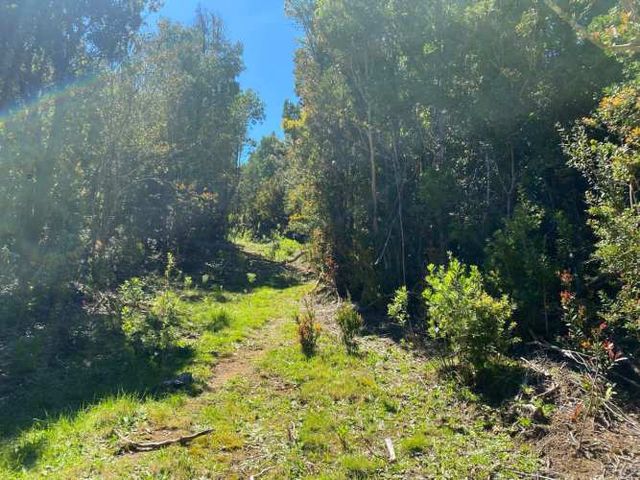 Se vende terreno llegando a Bonifacio costa Valdiviana