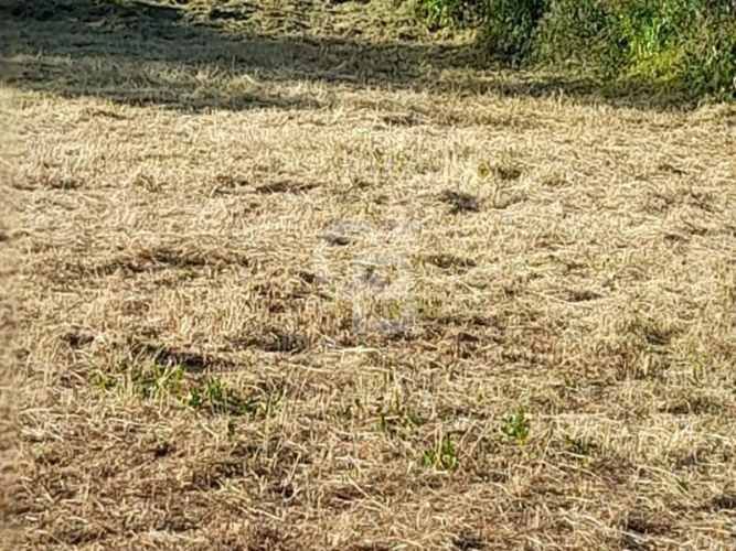 Venta Terreno Olmué Centro a 2 cuadras de plaza