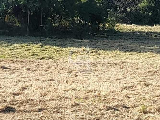 Venta Terreno Olmué Centro a 2 cuadras de plaza