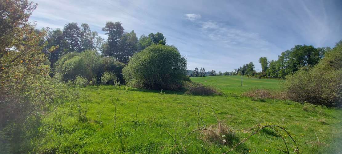 Hermosas parcelas a 5 minutos del centro de Paillaco (35 de Valdivia)