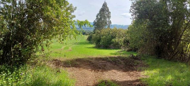 Hermosas parcelas a 5 minutos del centro de Paillaco (35 de Valdivia)