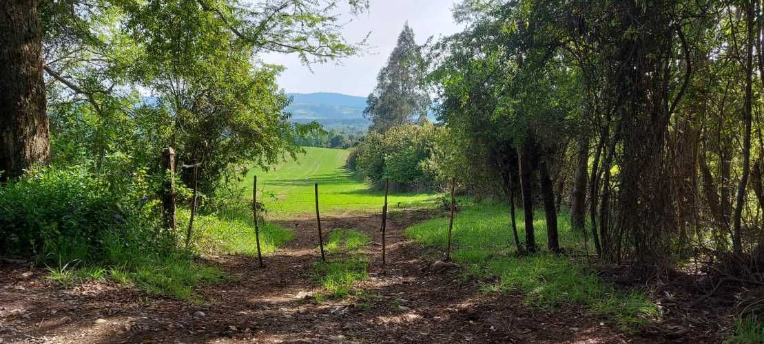 Hermosas parcelas a 5 minutos del centro de Paillaco (35 de Valdivia)