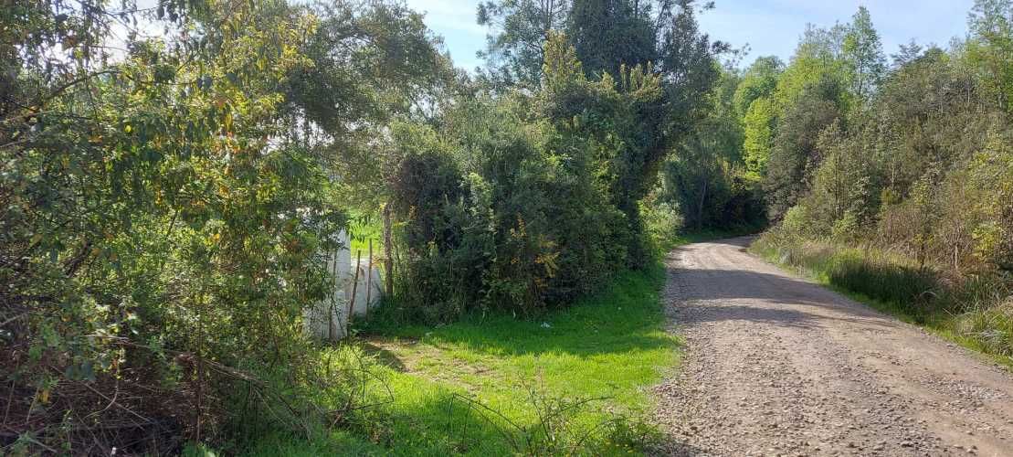 Hermosas parcelas a 5 minutos del centro de Paillaco (35 de Valdivia)