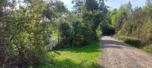 Hermosas parcelas a 5 minutos del centro de Paillaco (35 de Valdivia)