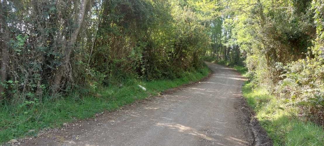 Hermosas parcelas a 5 minutos del centro de Paillaco (35 de Valdivia)