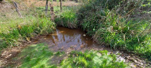 Hermosas parcelas a 5 minutos del centro de Paillaco (35 de Valdivia)