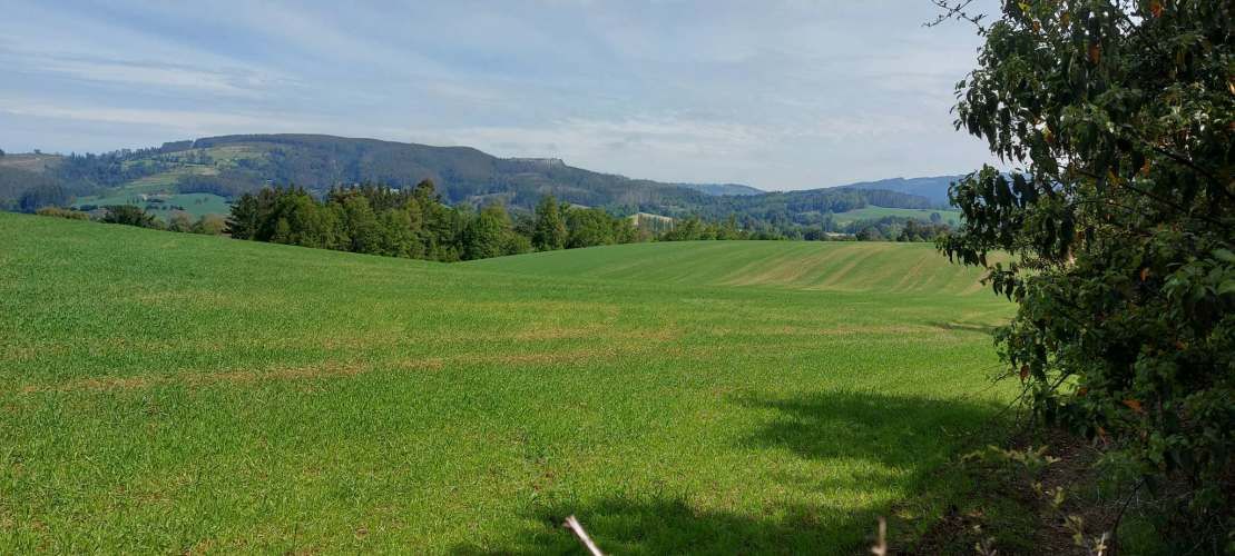 Hermosas parcelas a 5 minutos del centro de Paillaco (35 de Valdivia)