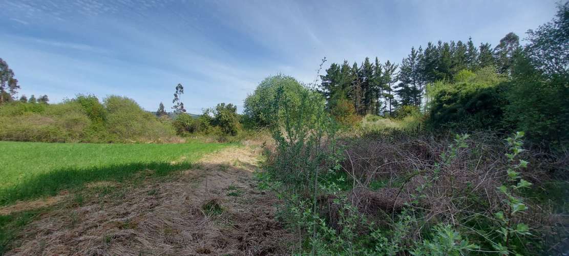 Hermosas parcelas a 5 minutos del centro de Paillaco (35 de Valdivia)
